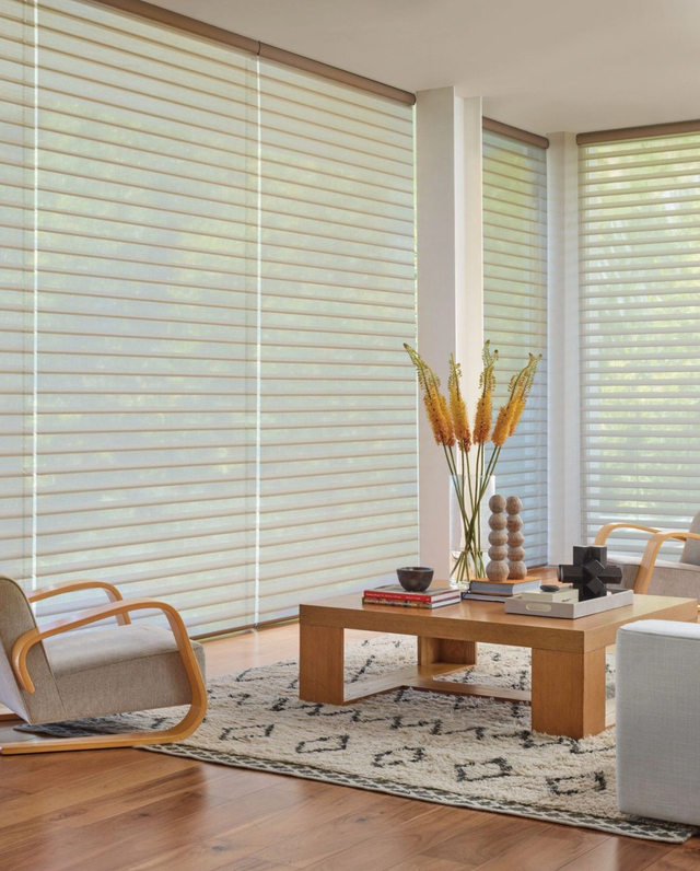 Motorized Window Shades Installation in Houston, TX